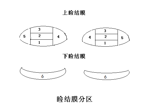 软性接触镜上市前临床试验指导原则 （征求意见稿）（一）